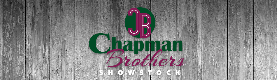 Chapman Brothers Show Stock
